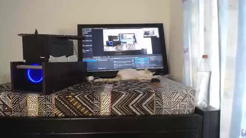 Eolicasextwo online show from December 18, 2025, 9:10 pm