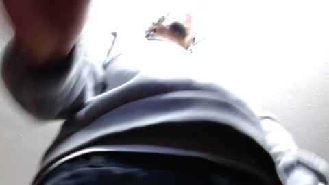 Snapshot of erick_martinezz chatting on February 22, 2025, 3:01 am erick online show from February 22, 2025, 3:01 am