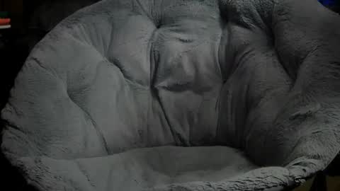 Snapshot of erik_plays_hockey chatting on November 11, 2025, 10:21 pm Erik plays hockey online show from November 11, 2025, 10:21 pm