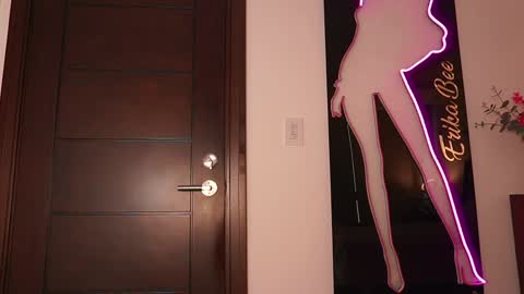 Snapshot of erikabee chatting on October 25, 2025, 8:14 pm Venus Skye online show from October 25, 2025, 8:14 pm