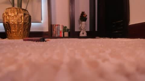 Snapshot of erikabee chatting on April 8, 2026, 7:14 pm Venus Skye online show from April 8, 2026, 7:14 pm