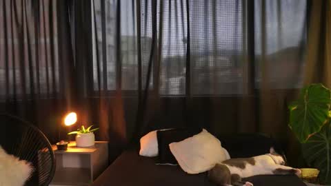 Eros Wild online show from December 16, 2025, 9:53 pm