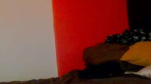 Nikki Erotica online show from February 20, 2026, 10:16 am