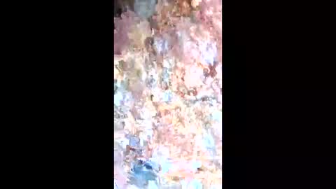 Snapshot of esteralcantara chatting on February 9, 2026, 5:50 pm esteralcantara online show from February 9, 2026, 5:50 pm