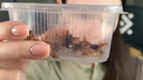 Snapshot of esterhernandes chatting on February 21, 2026, 2:07 pm kelt0901 - my channel in telegra online show from February 21, 2026, 2:07 pm