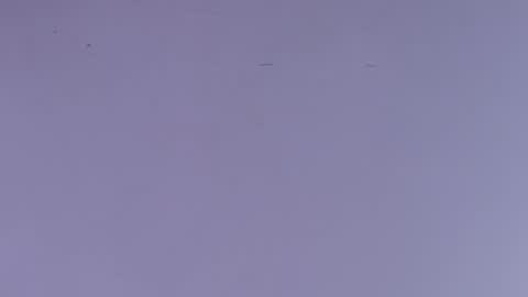 Snapshot of estrella_hanks_ chatting on October 1, 2025, 12:00 pm Estrella online show from October 1, 2025, 12:00 pm