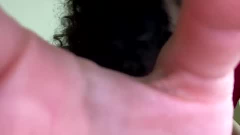 Snapshot of eulilah222 chatting on September 17, 2025, 3:41 am eulilah222 online show from September 17, 2025, 3:41 am