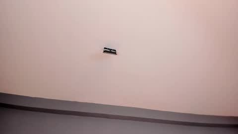 EVA  online show from February 25, 2025, 2:22 pm