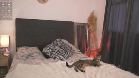 Snapshot of evajacksss_ chatting on February 12, 2026, 9:21 pm evajacksss_ online show from February 12, 2026, 9:21 pm