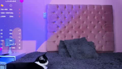 Snapshot of evaolimpo chatting on January 8, 2025, 8:50 pm Eva Olimpo online show from January 8, 2025, 8:50 pm