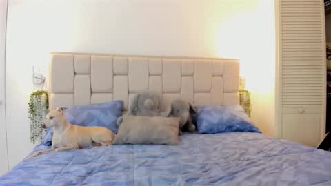 even_scoty online show from October 25, 2025, 12:23 pm