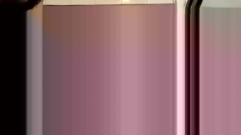 Evocation online show from November 7, 2025, 4:56 am