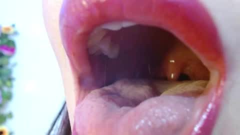 Snapshot of evolethmontenegros chatting on December 15, 2024, 9:03 am Evoleth online show from December 15, 2024, 9:03 am