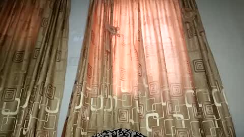 Nina online show from April 11, 2026, 7:45 am