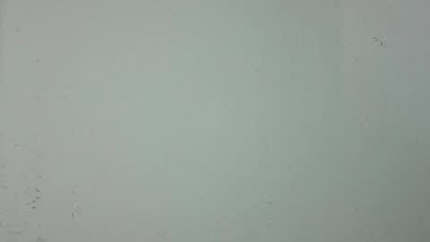 eyesight98 online show from May 1, 2026, 12:54 pm