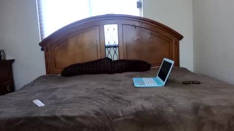 Snapshot of eymi09 chatting on January 24, 2025, 9:05 pm Kim20 online show from January 24, 2025, 9:05 pm