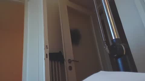 Snapshot of ezcoda chatting on January 14, 2025, 2:43 pm EZCODA online show from January 14, 2025, 2:43 pm