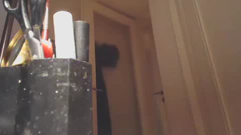 Snapshot of ezcoda chatting on January 26, 2025, 10:57 pm EZCODA online show from January 26, 2025, 10:57 pm