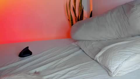 -  A N D E R online show from November 3, 2025, 3:52 am