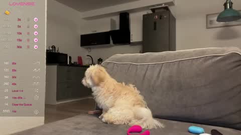 Bloom  online show from April 22, 2026, 6:53 pm