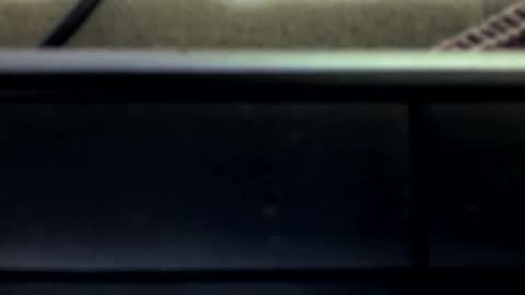 farantsaaly1 online show from February 11, 2025, 4:44 am