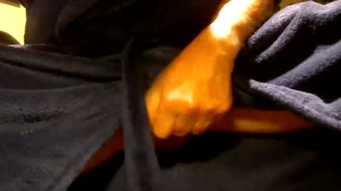 fastoys aka ...what ever.. online show from April 19, 2026, 6:10 pm