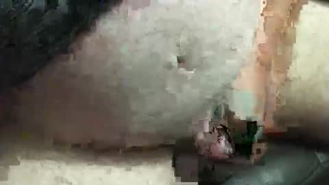 Snapshot of fatdaddy4you chatting on September 20, 2025, 3:35 pm fatdaddy4you online show from September 20, 2025, 3:35 pm