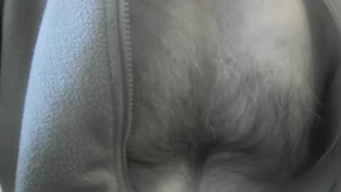 feardubh online show from January 19, 2025, 3:53 pm