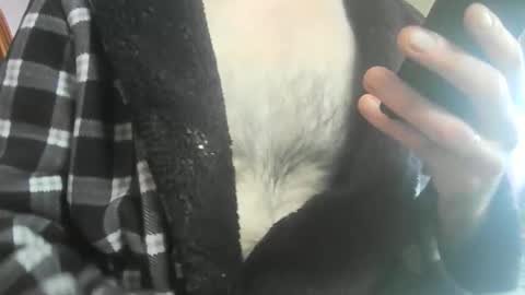 feardubh online show from February 20, 2026, 11:43 am