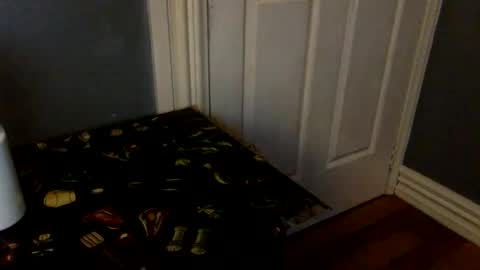 HairyBrownGuy online show from February 8, 2026, 1:03 pm