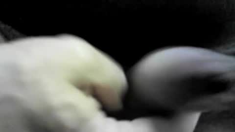 felicaste online show from September 17, 2025, 10:33 pm