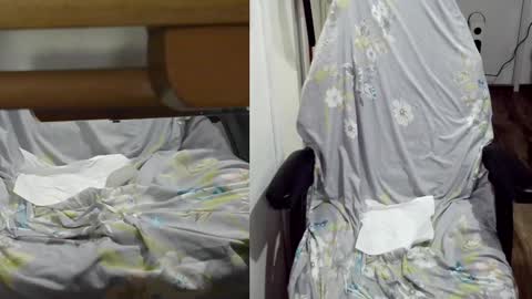 felixlau online show from January 22, 2025, 12:06 pm