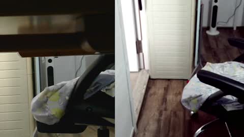 felixlau online show from February 3, 2025, 7:51 am