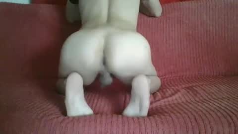 Snapshot of femboyhot28 chatting on November 9, 2025, 3:05 am femboyhot28 online show from November 9, 2025, 3:05 am