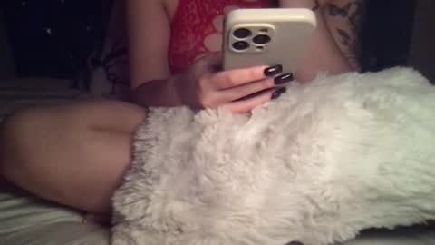     online show from November 13, 2025, 3:49 am