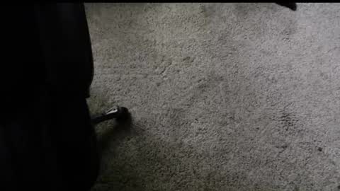 fengshui1982 online show from November 29, 2025, 6:22 pm