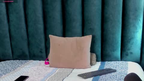 Snapshot of fenix_karoll chatting on December 8, 2024, 3:45 pm Karol online show from December 8, 2024, 3:45 pm