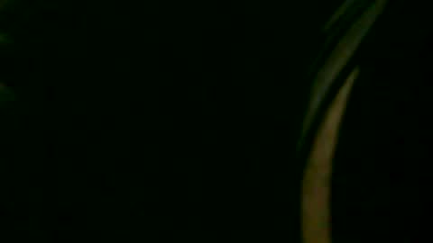 fer_2197 online show from January 18, 2025, 12:13 am