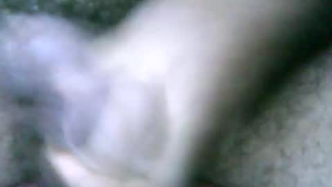 fer_2197 online show from February 18, 2025, 2:06 pm