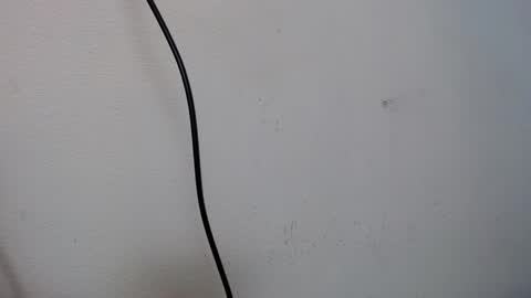 Ferb  Blackwood online show from January 25, 2025, 7:28 am