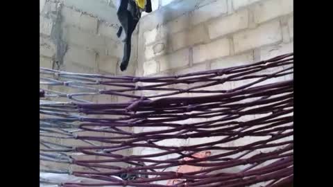 fernandez_latinblack online show from October 1, 2025, 2:12 pm