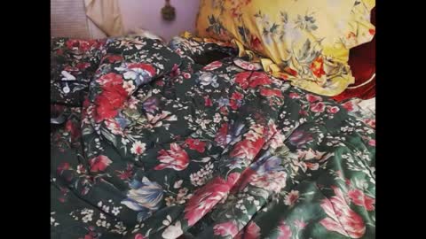 ferra_testarossa online show from April 9, 2026, 2:33 am