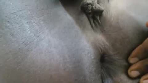 Ferie online show from September 27, 2025, 4:06 am