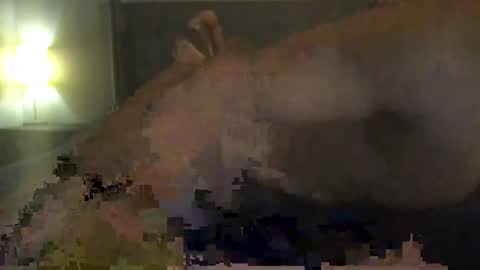 Feso1111 online show from November 23, 2025, 8:03 am