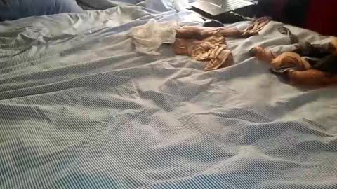 Snapshot of ffst0ckings chatting on December 25, 2024, 7:56 pm ffst0ckings online show from December 25, 2024, 7:56 pm