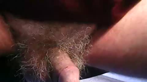 fh1963 online show from February 20, 2026, 12:16 pm