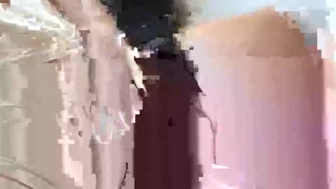 Snapshot of fifipan chatting on October 25, 2025, 9:28 am fifipan online show from October 25, 2025, 9:28 am