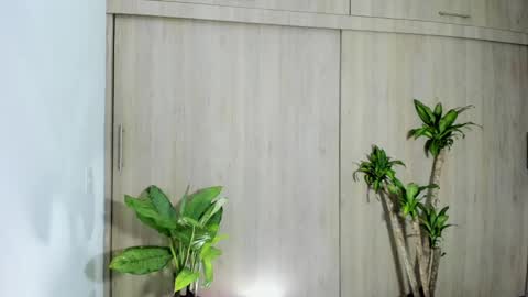 filletatouee online show from November 10, 2025, 4:44 am