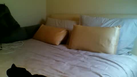 Fitbut online show from September 15, 2025, 7:03 pm