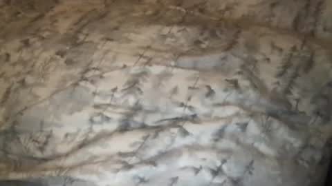 FitCollegeStudxx online show from February 25, 2025, 3:42 am